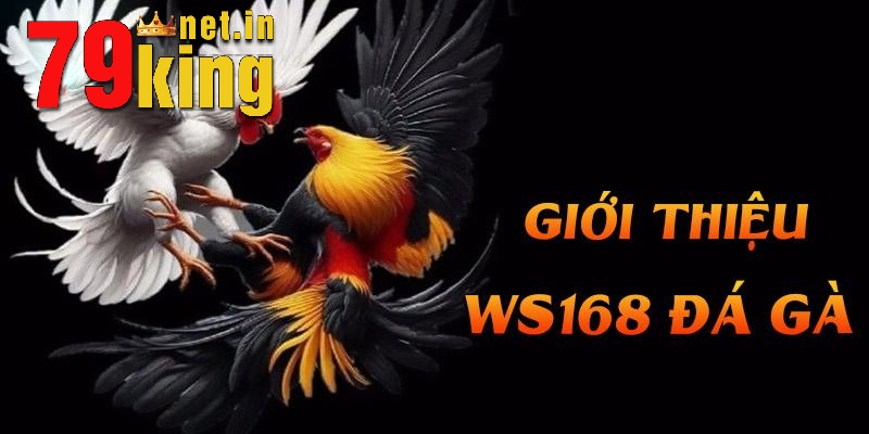 Ws168 Đá Gà - Sân Chơi Hấp Dẫn Và Đỉnh Cao Của Năm 2024